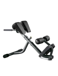 Back extension bench